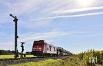 245 022 passiert mit AS 1422 nach Westerland (Sylt) das Einfahrsignal A des Bahnhofs Klanxbüll aus Richtung Lehnshallig. (24.09.2025) <i>Foto: Joachim Bügel</i>