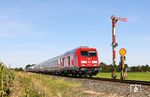 245 024 mit IC 2375 (Westerland/Sylt - Stuttgart Hbf) an der Vorsignal-/Hauptsignal-Kombination des Bahnhofs Klanxbüll aus Richtung Lehnshallig. Wer nun den IC 2311 nach Köln vermisst, auf den wartete auch der Fotograf vergeblich, denn er hatte an diesem Tag Ausfall. (24.09.2025) <i>Foto: Joachim Bügel</i>