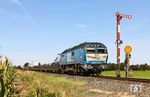 RDC 07 (DE 2700-07) mit DPF 28911 (Westerland/Sylt - Niebüll) zwischen Klanxbüll und Lehnshallig. (24.09.2025) <i>Foto: Joachim Bügel</i>