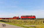 Es war schon außergewöhnlich, dass sich eine einzelne 218 mehrfach vor den Autozügen abmühen musste, obwohl in Niebüll ein "Stall voll" Loks standen. Am Friedrich-Wilhelm-Lübke-Koog erreicht 218 322 mit AS 1445 (Westerland/Sylt - Niebüll) das Festland. (24.09.2025) <i>Foto: Joachim Bügel</i>