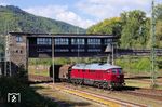 233 373 der TrainLog GmbH Germersheim überführt einen Dienstgüterwagen vom ICE-Werk Köln-Nippes nach Mannheim in Bingen (Rhein) Hbf, vormals Bingerbrück. (01.10.2025) <i>Foto: Roland Hackl</i>