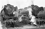 Die Baureihe 23 war in der späten Phase ihres Einsatzes ab Ende der 1960er Jahre auch im Bahnbetriebswerk Kaiserslautern stationiert. Von dort aus wurde sie auf Strecken nach Kusel, Pirmasens und im Lautertal eingesetzt. 023 008 und 023 011 warten in ihrem Heimat-Bw Kaiserslautern auf die nächsten Einsätze. (05.04.1971) <i>Foto: Wolfgang Bügel</i>