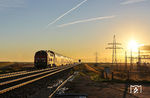 Kurz nach dem Sonnenaufgang erscheint 218 470 mit RE 11052 (Husum - Westerland/Sylt) am Friedrich-Wilhelm-Lübke-Koog westlich von Klanxbüll.  (25.09.2025) <i>Foto: Joachim Bügel</i>