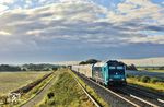 Licht und Schattenspiele sind nicht jedermanns Sache. Die meisten (Eisenbahn-)Fotografen bevorzugen die Grundlektion, beim Fotografieren die Sonne im Rücken zu halten. Wirklich falsch ist diese Regel nicht, denn so geht man vielen Problemen aus dem Weg. Der Nachteil ist jedoch, die Bilder werden auf die Dauer langweilig und weniger stimmungsvoll. Also ran ans Streiflicht, auf dem 245 208 mit RE 11002 aus Hamburg-Altona bei Klanxbüll auftaucht. (25.09.2025) <i>Foto: Joachim Bügel</i>