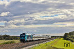 245 203 mit RE 11008 (Hamburg-Altona - Westerland/Sylt) am Beginn des ursprünglichen Hindenburgdamm westlich von Klanxbüll. Das Land an dem "Rickelsbüller Koog" wurde dem Meer erst 1954 abgetrotzt, seitdem befindet sich der Damm hier auf dem Festland.  (25.09.2025) <i>Foto: Joachim Bügel</i>