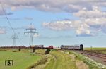 Zwischen Klanxbüll und dem Friedrich-Wilhelm-Lübke-Koog begegnet 218 058 der PRESS vor IC 2214 nach Westerland (Sylt) dem entgegenkommenden AS 1429 nach Niebüll mit 245 021. (25.09.2025) <i>Foto: Joachim Bügel</i>