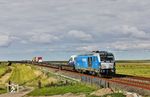 RDC 247 908 mit DPF 28915 nach Niebüll am Naturschutzgebiet "Rickelsbüller Koog" westlich von Klanxbüll. (25.09.2025) <i>Foto: Joachim Bügel</i>