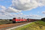 Im gerade rechtzeitigen Sonnenspot sind 218 322 und 218 385 vor AS 1434 nach Westerland (Sylt) bei Klanxbüll unterwegs. (25.09.2025) <i>Foto: Joachim Bügel</i>