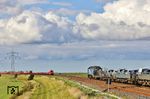 Westlich von Klanxbüll kommt RDC 07 vor DPF 28196 der Autozug AS 1439 aus Westerland (Sylt) mit 245 022 entgegen. (25.09.2025) <i>Foto: Joachim Bügel</i>