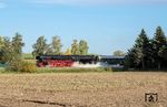 Der Sonderzug nach Nürnberg mit 01 1104 kurz vor Wassertrüdingen. (03.10.2025) <i>Foto: Atijana Schmidt</i>
