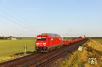 245 021 mit AS 1413 nach Niebüll westlich von Klanxbüll. (26.09.2025) <i>Foto: Joachim Bügel</i>