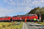 Wegen der Kurswagenaufnahme in Niebüll ist es normalerweise problemlos möglich, den IC 2311 hinter Niebüll erneut zu fotografieren. Murphy machte es an diesem Tag aber zunichte. Kurz vor dem Erscheinen des IC 2311 tauchte eine Baukolonne auf, die es sichtlich eilig hatte, den Bahnübergang "Am Rollwagenzug" zu sperren. Damit hatte sich die weitere Zugverfolgung erledigt. (26.09.2025) <i>Foto: Joachim Bügel</i>