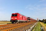 Nachdem das 218-Pärchen entschwunden war, zeigte sich die Sonne natürlich durchgehend ungetrübt. So auch bei der Fahrt von 245 025 vor AS 1448 nach Westerland (Sylt) westlich von Klanxbüll. (26.09.2025) <i>Foto: Joachim Bügel</i>