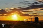 Reise in das goldene Abendlicht am Hindenburgdamm. 218 497 führt den IC 2374 "Wattenmeer" nach Westerland (Sylt). (26.09.2025) <i>Foto: Joachim Bügel</i>