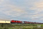 Nachdem sich am nächsten Tag planmäßig das schöne Wetter verabschiedet hatte, und daher der Sonnenaufgang bei der Vorbeifahrt des AS 1410 nach Westerland (Sylt) mit 245 027 nahe Klanxbüll ausfiel, hieß es Koffer packen. (27.09.2025) <i>Foto: Joachim Bügel</i>