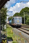 Hectorrail, ein schwedisches Eisenbahnverkehrsunternehmen im Güterverkehr mit Sitz in Danderyd bei Stockholm, kaufte im Januar 2016 fünfzehn Loks der Baureihe 151 von der DB. Seit 2024 mustert Hectorrail die Baureihe aus. Auf einer ihrer Fahrten kam 162.005 (ex 151 133) mit einem Güterzug aus Flensburg durch Rendsburg. Bis 2026 sollen alle Loks der Baureihe 162 ausgemustert werden. (25.08.2024) <i>Foto: Thorsten Eichhorn</i>