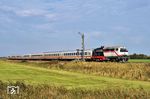 Freie Durchfahrt für IC 2375 "Wattenmeer" nach Stuttgart mit 218 497 im Betriebsbahnhof Lehnshallig. (02.10.2025) <i>Foto: Zeno Pillmann</i>