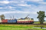 Ende 2019 wurden die drei Maschinen 181 204, 181 213 und 181 215 vom Privatunternehmen Schlünß Eisenbahn Logistik (SEL) erworben und nach und nach von der Baltic Port Services (BPS) in Mukran auf Rügen aufgearbeitet. 2020 folgte mit 181 211 eine vierte Maschine, später noch 181 205 und 181 218. Die Loks werden von der SEL vorwiegend im Güterverkehr bis in den Grenzbahnhof Padborg in Dänemark eingesetzt. Hier sind 181 215 und 181 204 mit DGS 52568 nach Wanne-Eickel bei Owschlag-Norby unterwegs. (17.10.2025) <i>Foto: Thorsten Eichhorn</i>