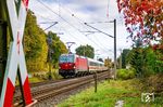 DSB EB 3228 mit EC 392 nach København H am Bü Owschlager See bei Owschlag. (11.10.2025) <i>Foto: Thorsten Eichhorn</i>