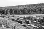 In Leonbronn endete seit 1901 die 750 mm schmalspurige 'Zabergäubahn'. Dort fährt 99 671 mit dem P 1116 aus Lauffen (Neckar) ein. 1964/65 wurde die Strecke auf Normalspur umgespurt. (09.1957) <i>Foto: Jürgen Hagemann, Slg. R. Garn</i>