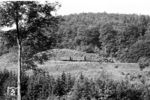 Der Güterzug nach Mudau mit 99 7202 im Hasbachtal kurz vor Lohrbach. Das Lökchen nimmt die 1:40-Steigung nahezu mühelos. (05.1959) <i>Foto: Jürgen Hagemann, Slg. R. Garn</i>