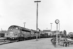 Die dieselelektrischen Lokomotiven der Baureihe MY der Danske Statsbaner (Dänische Staatsbahnen) sind wohl die bekanntesten Diesellokomotiven der DSB. Mit einem Güterzug fahren MY 1138 und eine unerkannte Schwesterlok in Nyborg ein. Alle MY-Loks hatten die Einrichtung zur Vielfachsteuerung für Mehrfachtraktion, die nach US-Norm mit 650 Volt Gleichspannung arbeitete.  (1983) <i>Foto: Thorsten Eichhorn</i>