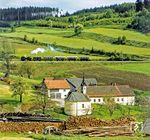 Mit einem Personenzug aus Groß Gerungs ist ÖBB 298.207 bei Roßbruck unterwegs. (06.1980) <i>Foto: Karsten Risch</i>