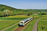 Südlich von Miedelsbach-Steinenberg fährt WEG VT 421 mit VS 425 nach Oberndorf. Nachdem den in den Jahren 1984 und 1986 erfolgten Anträgen der Deutschen Bundesbahn auf Einstellung des Verkehrs auf der Gesamtstrecke nicht stattgegeben wurde, die DB jedoch nach wie vor kein Interesse am Weiterbetrieb der Bahn zeigte, erfolgte am 22. Dezember 1992 die Gründung des Zweckverbands Verkehrsverband Wieslauftalbahn (ZVVW), um den Zugverkehr im Wieslauftal aufrechtzuerhalten und zu privatisieren. Am 6. Mai 1993 übertrug die DB die Strecke an den Zweckverband und beteiligte sich mit rund 4,7 Millionen DM an der Sanierung der übergebenen Strecke sowie mit weiteren 1,8 Millionen DM an den notwendigen Kosten für die Aufrechterhaltung und Verbesserung des Personenverkehrs und die Fortführung des Güterverkehrs. Das Land Baden-Württemberg steuerte zwölf Millionen DM für den Ausbau der Infrastruktur und die Anschaffung dreier neuer Dieseltriebwagen samt zweier zugehöriger Steuerwagen bei. (11.05.2015) <i>Foto: Zeno Pillmann</i>