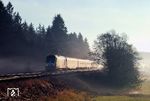 ER20-008 (223 008) kämpft sich mit ALX 81011 nach Lindau durch den Morgennebel bei St. Alban. (11.12.2004) <i>Foto: Stefan von Lossow</i>
