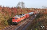 232 347 mit dem "Single Wagon Network"-Zug EZ 52189 aus Leipzig-Engelsdorf kurz vor seinem Ziel nördlich von Zeitz. (13.11.2025) <i>Foto: Joachim Bügel</i>