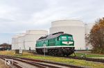 241 338 der Triangula Logistik (TRG) am Tanklager in Emleben. Die Lok wurde 1976 als 132 338 in Dienst gestellt und 2021 an die TRG verkauft. Seit 2022 fährt sie in der firmeneigenen grünen Lackierung herum. (13.11.2025) <i>Foto: Joachim Bügel</i>