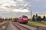 Im Bahnhof Emleben wartet RP 218 319 auf die Übernahme eines Holzzuges. (13.11.2025) <i>Foto: Joachim Bügel</i>