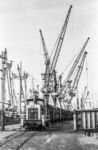 261 237 vor einer Batterie von Ladekränen im Hamburger Hafen. (1983) <i>Foto: Thorsten Eichhorn</i>