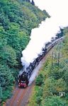 01 1100 und 41 360 mit Sonderzug Dz 28067 auf der Fahrt nach Köln (- Bad Münstereifel) im einzigen noch mit Doppel-Telegrafenmasten ausgerüsteten Streckenabschnitt der Volmetalbahn bei Kotthausen. (16.09.1990) <i>Foto: Joachim Bügel</i>