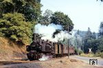 99 5906 fährt mit einem Personenzug aus Gernrode in Mägdesprung ein. (19.09.1973) <i>Foto: Robin Fell</i>