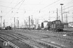 Am späten Nachmittag machte sich im Neusser Rangierbahnhof die Neusser 050 529 mit einem Güterzug auf den Weg, in den eine Lü-Sendung eingestellt war. Links steht 055 663. (10.05.1971) <i>Foto: Wolfgang Bügel</i>