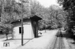 Der Haltepunkt Friedewald (Kr Dresden) ist eine Betriebsstelle im Streckenkilometer 4,7 der Schmalspurbahn Radebeul Ost–Radeburg (Lößnitzgrundbahn). Der heutige Haltepunkt befindet auf dem Gebiet der Gemeinde Moritzburg. Die Anlagen und Hochbauten der Betriebsstelle repräsentierten in den 1960er Jahren noch den Bauzustand der 1920er Jahre. (05.1968) <i>Foto: Fritz Herold</i>
