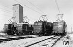 Im AW München-Freimann wurde diese Neubaulokparade der damals neuesten E-Loks der DB organisiert: E 40 153 (neu am 18.02.1959 zum Bw Regensburg), E 41 069 (neu am 06.02.1959 zum Bw Frankfurt/M-1), E 50 036 (seit 18.12.1957 beim Bw Würzburg) und E 10 105 (seit 27.02.1957 beim Bw Heidelberg). (13.02.1959) <i>Foto: BD München (Steidl)</i>
