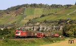 182 022 vor FIR 47965 (Hamburg - Wien) im Maintal nördlich von Himmelstadt. (22.09.2010) <i>Foto: Wolfgang Bügel</i>