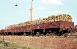 Mit Holz beladene Ow-Wagen der Kleinbahnen des Kreises Jerichow I auf der Rampe im Bahnhof Burg Umladebf. (08.1965) <i>Foto: Klaus Kieper, Slg. Holzborn</i>