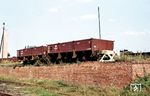 Die zweiachsigen Ow-Wagen Nr. 97-61-71 und 97-61-27 an der Rampe im Bahnhof Burg. (08.1965) <i>Foto: Klaus Kieper, Slg. Holzborn</i>