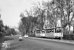 Tw 103 mit Bw 175 auf der Linie 3 in der Mergentheimer Straße zwischen Steinbachtal und Judenbühlweg. (10.1961) <i>Foto: Reinhard Todt</i>