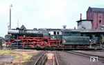 23 105 auf der Drehscheibe ihres Heimat-Bw Minden (Westf). 1968 wurde sie nach Crailsheim umstationiert und ging ein Jahr später nach Saarbrücken. Dort wurde sie am 27.04.1972 ausgemustert und danach als Leihgabe der DB an das DGEG-Eisenbahnmuseum Neustadt/W. ausgeliehen. (05.1967) <i>Foto: Rolf Hahmann</i>
