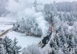Klirrende Kälte und zentimeterlange Eiskristalle führten zu bizzaren Vereisungen im Schönauer Wald, durch den gerade 92.2271 dampft. (24.01.2026) <i>Foto: Joachim Schmidt</i>