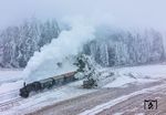 Wegen des wolkenverhangenen Himmels mussten die Fotografen bei der Fotofahrt der 92.2271 eher mit Grautönen Vorlieb nehmen. Der zuvor gefrorene Regen auf der Strecke nach Waldhausen sorgte aber für ganz spezielle Motive.  (24.01.2026) <i>Foto: Joachim Schmidt</i>