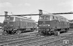 Während heute die Baureihe 218 regelrecht gehypt wird, war sie damals eher als "Dampfloktod" verschrieen. Hardcorefotografen ließen daher solche Loks aus Prinzip links liegen. Nicht umsonst stand damals der geflügelte Spruch "Diesel go to hell!" an einem F-Kasten auf der Schiefen Ebene. Andere betrachteten sie dennoch als Teil der Eisenbahnfamilie und so wurde an den einträchtig im Bw Hof nebeneinander stehenden 217 019, der V 160-Variante mit elektrischer Zugheizung, und 218 106, die erst zwei Wochen zuvor nach Hof gekommen war, ein Foto 'verschwendet'. (14.07.1971) <i>Foto: Wolfgang Bügel</i>