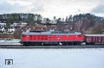 233 521 (Lokomotivfabrik Oktober-Revolution Woroschilowgrad, Baujahr 1977) rollt mit EZ 45366 bei Etzelwang zu Tal. Die Lok hatte ihre letzte Revision am 4. März 2019 in Daugavpils/Lettland erhalten. (18.02.2026) <i>Foto: Joachim Schmidt</i>