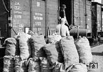 Entladung von Winterkartoffeln im Eilgutbahnhof Frankfurt/M, die in der Zeit nach dem Zweiten Weltkrieg essentiell für die Versorgung der Bevölkerung waren. (1949) <i>Foto: Paul Trost</i>