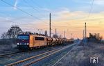 Im letzten Büchsenlicht kam 250 137 der Bahnbetrieb Gera GmbH mit einem Schotterzug von Frankfurt-Höchst nach Eilenburg in Jesewitz angefahren. (08.03.2026) <i>Foto: Ralf Opalka</i>