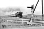 023 091 vom Bw Emden mit E 588 (Norddeich Mole - Oldenburg - Goslar) zwischen Norden und Marienhafe. (07.1969) <i>Foto: Karl-Ernst Maedel</i>